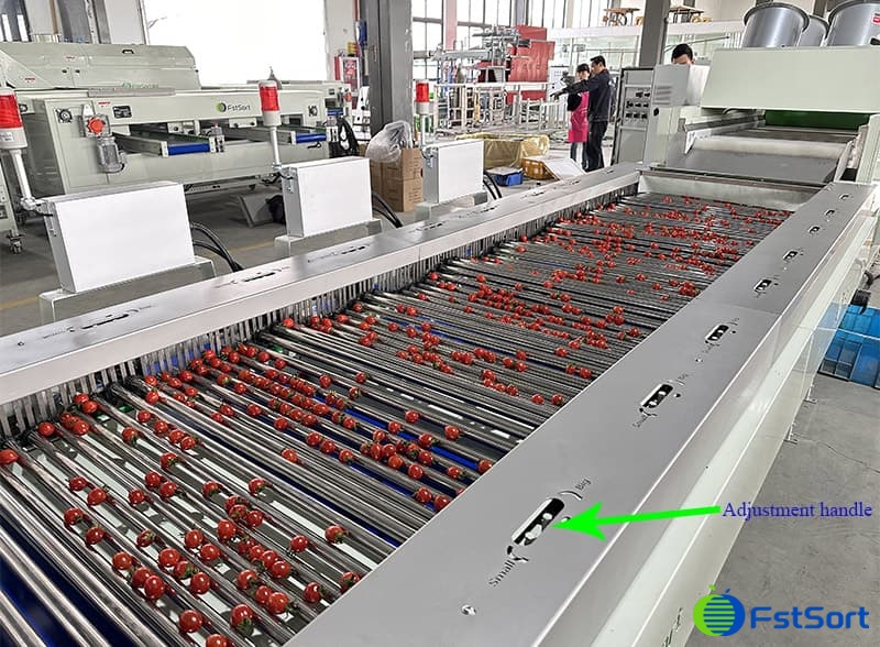 images/1683187302456cherry tomato washing drying sorting line.jpg